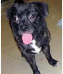 Bernard 