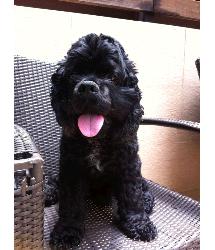 Charlie