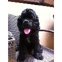 Charlie