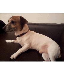 Titch