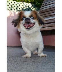 Frankie