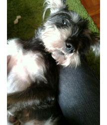 Macy