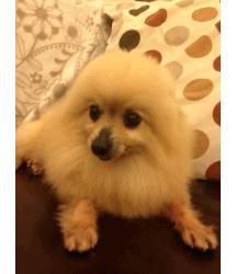 Cilla