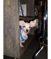 Tiny