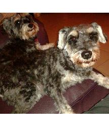 Ben & Lottie