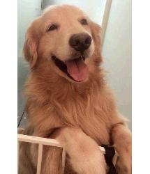 Benson