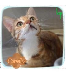 Camille