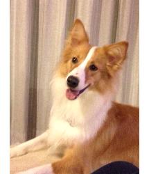 Sadie