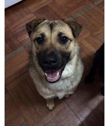Josie