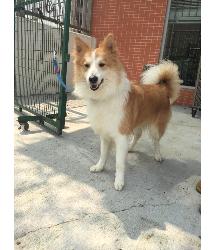 Elliot