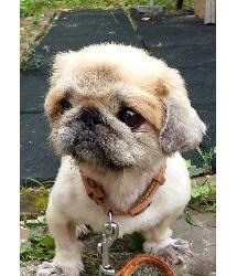 Chloe