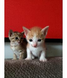Sugar and Spice 