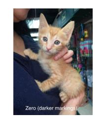 Zero