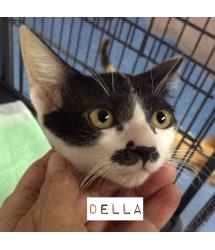 Della