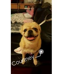 Courtney