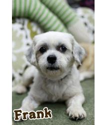 Frank