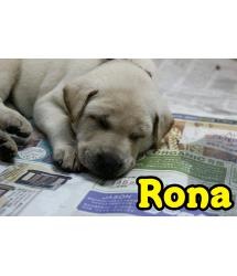 Rona