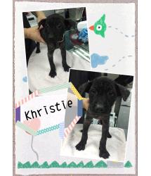 Khristie