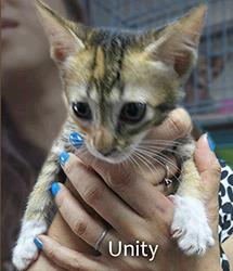 Unity