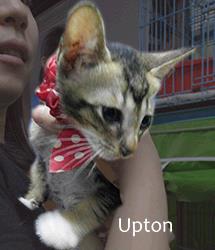 Upton