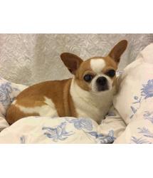 Mona (in Foster Home)