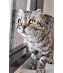Oona