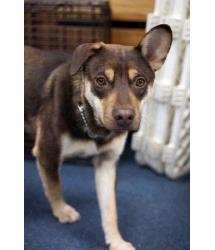 Victor(in foster home)