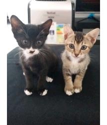 Zane and Zinnia