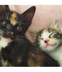 Lizzie and Jane