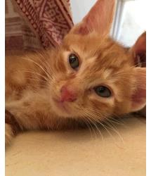 Bingley