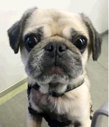 Charlie
