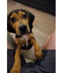Tucker