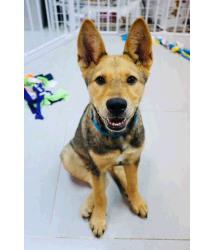 Skye