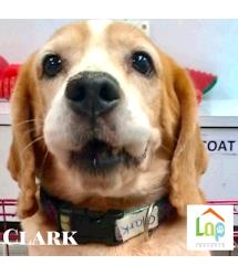 Clark