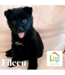 Eileen