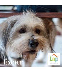 Exeter
