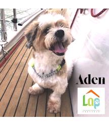 Aden