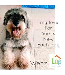 Wenz