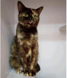 Mimi