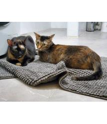 Eartha & Inca