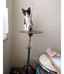 Catniss