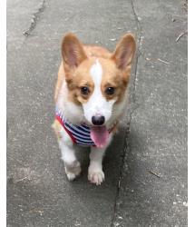 Fiona