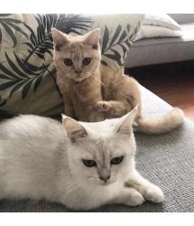 Pepe & Philippe