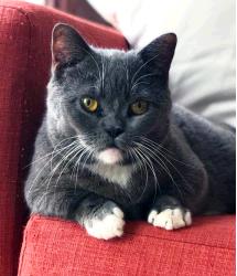 Esma