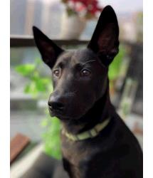 Roxy