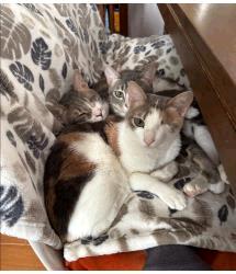 Nimoy & Ninette