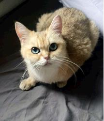 Penny Lane