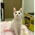 Mahina