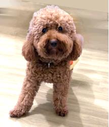 Tucker